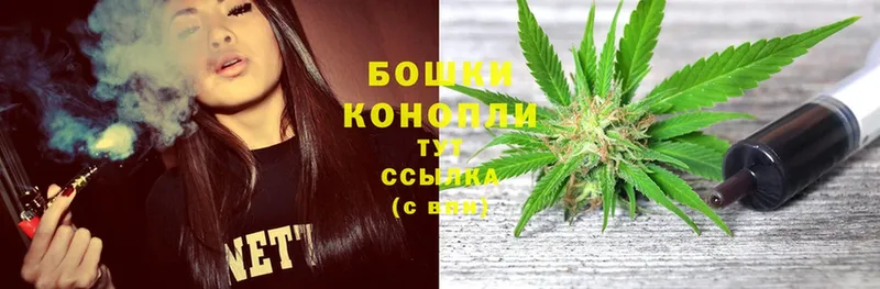 Марихуана Amnesia  блэк спрут вход  Коряжма  где купить наркоту 